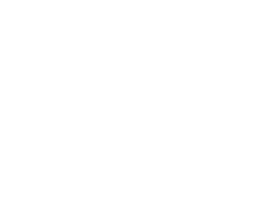 Wine Glasses